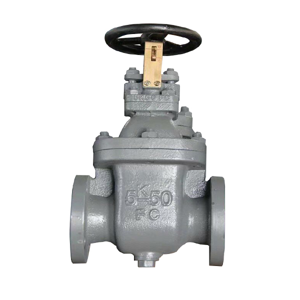 JIS F7363 Cast Iron Gate Valve